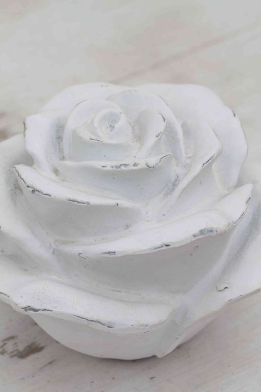 Rosenblüte weiß ´Stone´| Weinsberger Rosenkulturen